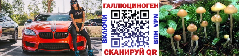 Галлюциногенные грибы мицелий  гидра рабочий сайт  Адыгейск 